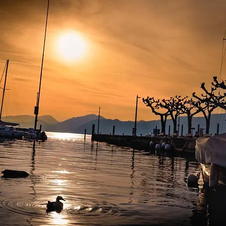 Indigo Eco Bardolino